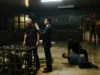 S.P.L. Звезды судьбы 2 (2015)