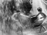 Великолепие в траве (1961)