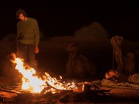 Тропы (2013)