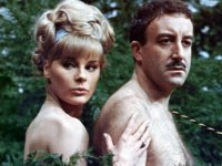 Выстрел в темноте (1964)
