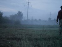 Вирион (2016)